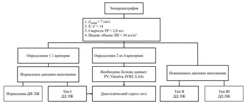 Диастолический размер левого желудочка