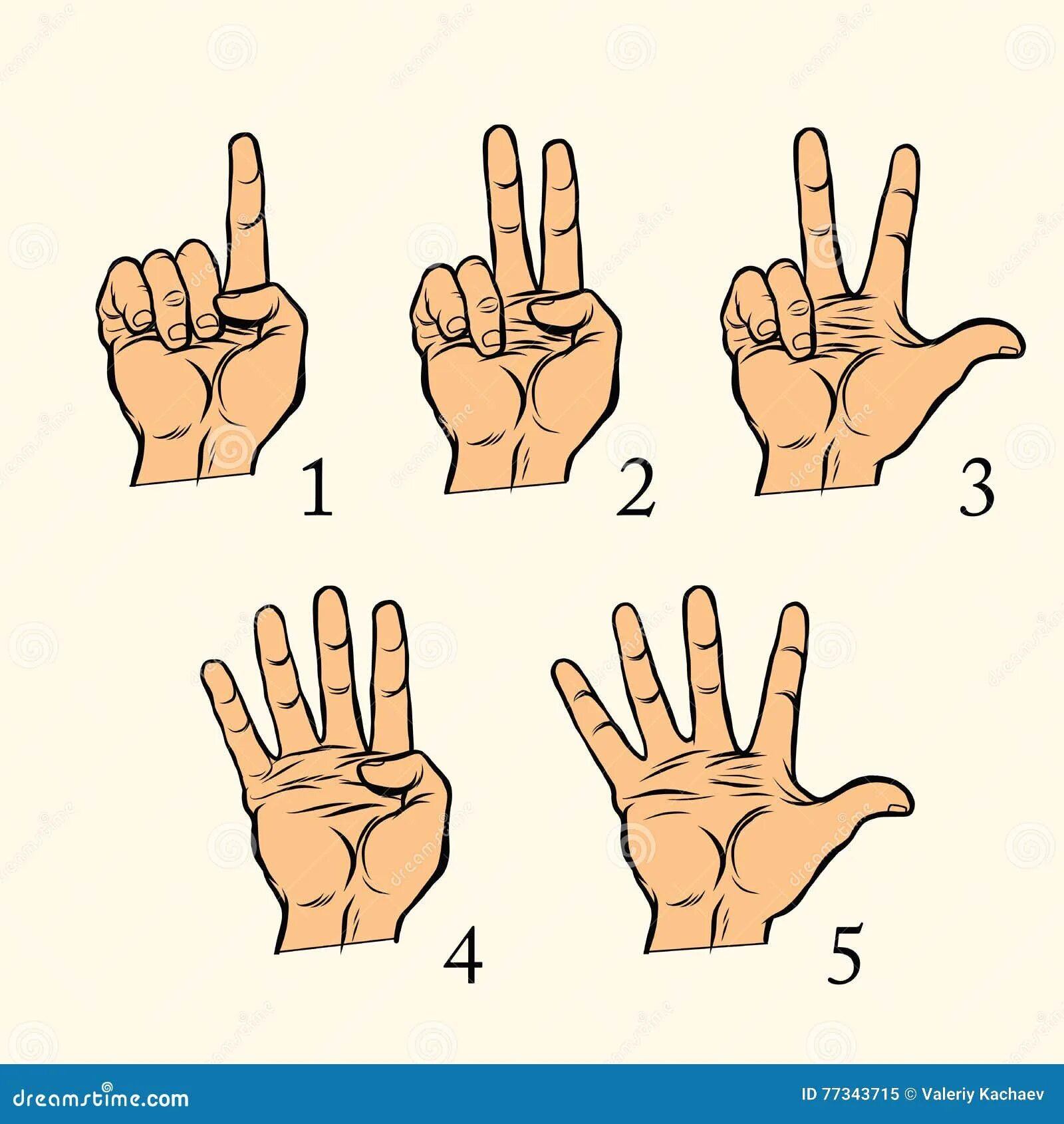 2 2 четыре пальца. Жесты руками. Жесты одной рукой. Четыре пальца на руке жест.