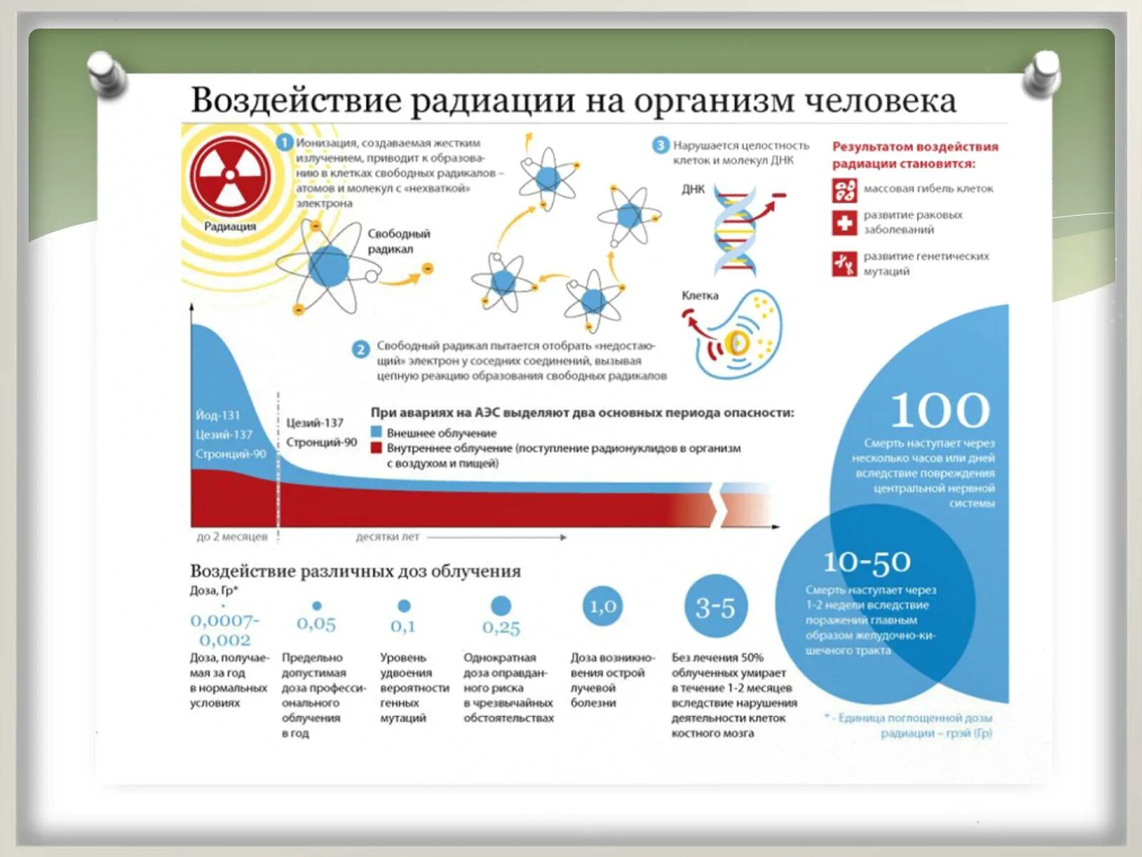 Действие радиоактивного излучения на человека. Воздействие радиации на организм человека. Люди подверженные радиации. Влияние цезия на организм человека. Цезий 137 влияние.