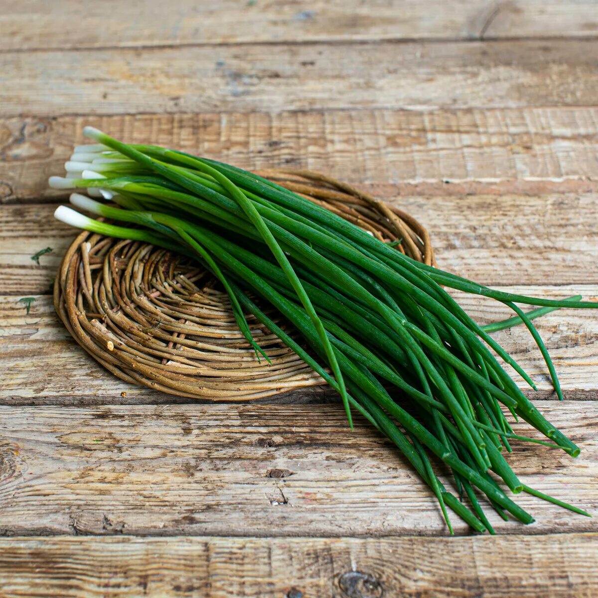Зеленый лучек. Лук на перо. Лук зеленый. Лук зеленый. Лук на перо.