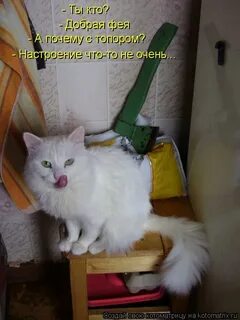 Настроение не очень