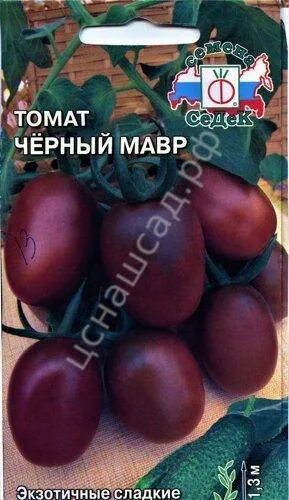 Сорт томатов черный мавр отзывы. Семена помидор черный мавр. помидоры черри черный мавр. томат сливка мавр.