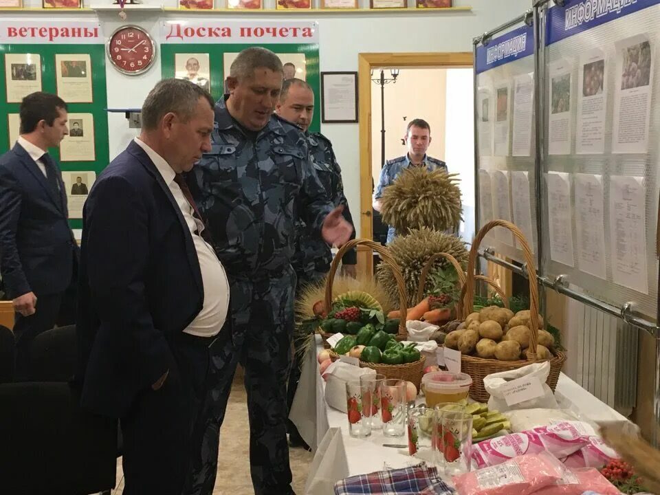 Уик колония поселения. Дигитли колония поселение 17. свадьба в колонии поселения дигитли. дигитли колония поселение женская. колония-поселение № 17 уфсин россии по республике татарстан.