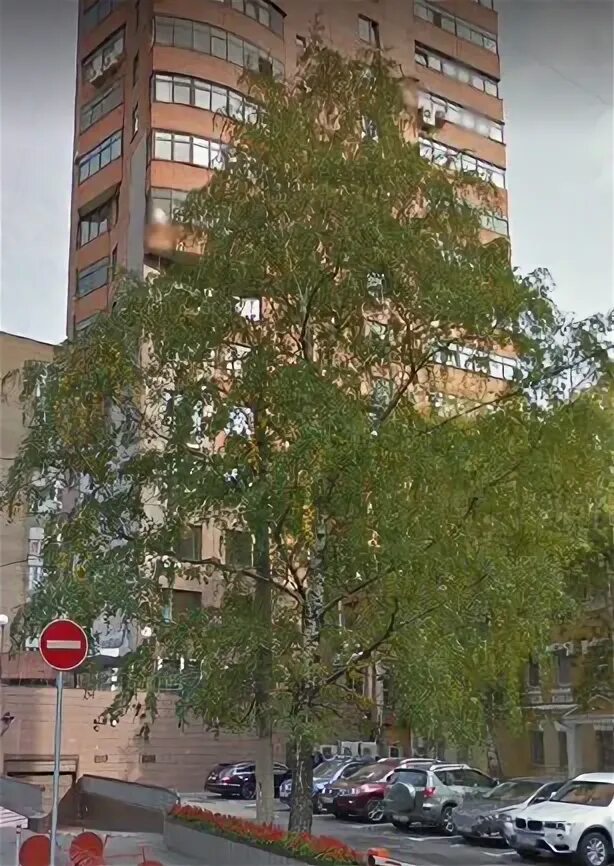 Ботанический переулок, д. Ботанический переулок 16 москва. Ботанический переулок 11 москва. Ботаническая 16 москва. Ботанический переулок 16 москва.