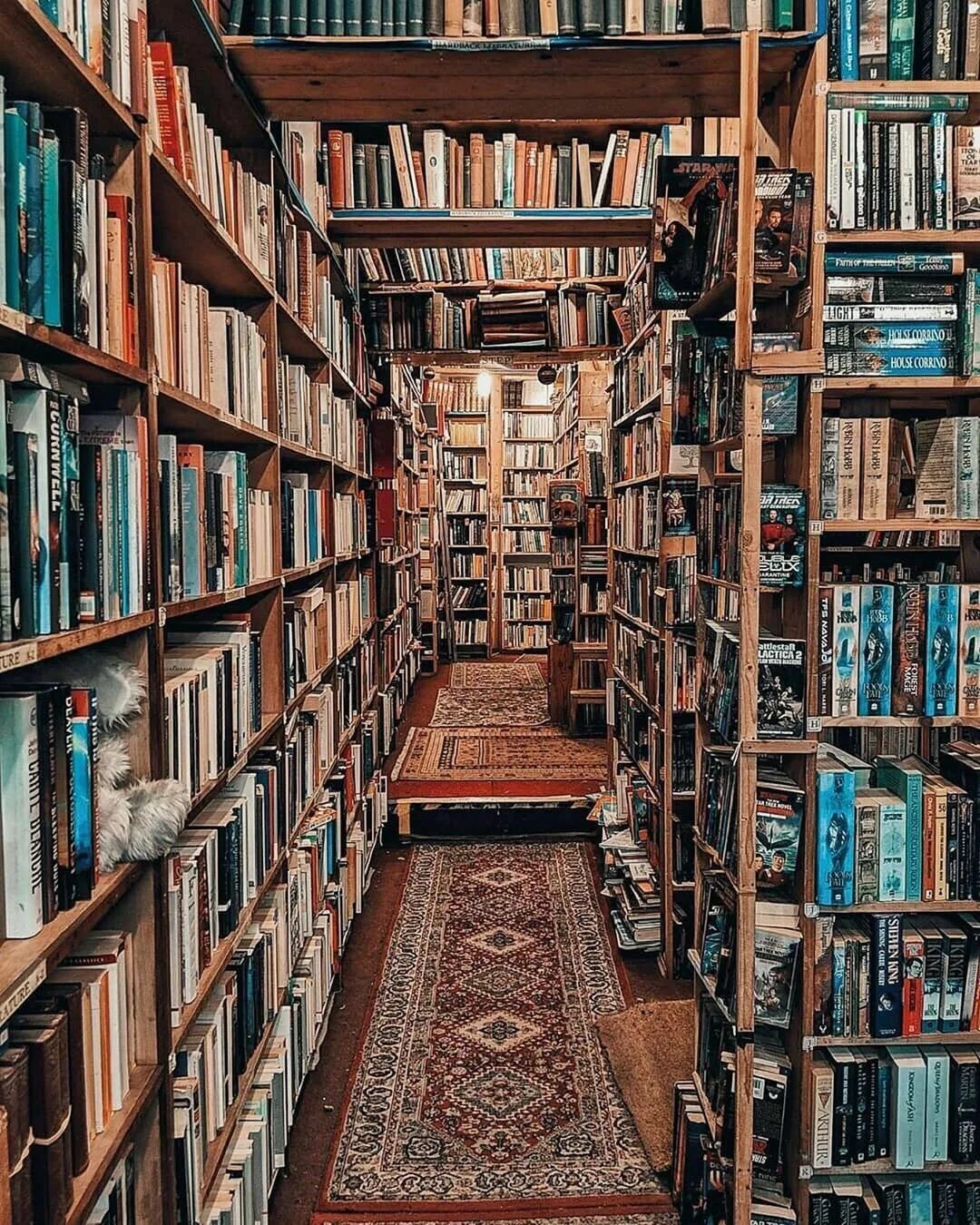 Домашняя библиотека. Старинная библиотека. Книга библиотека. Библиотека фото.