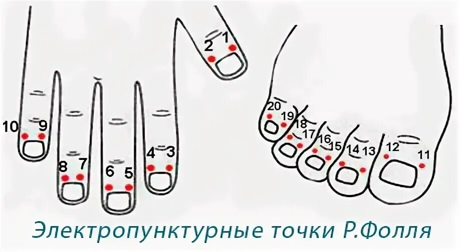 Фоль метод. Фоль метод