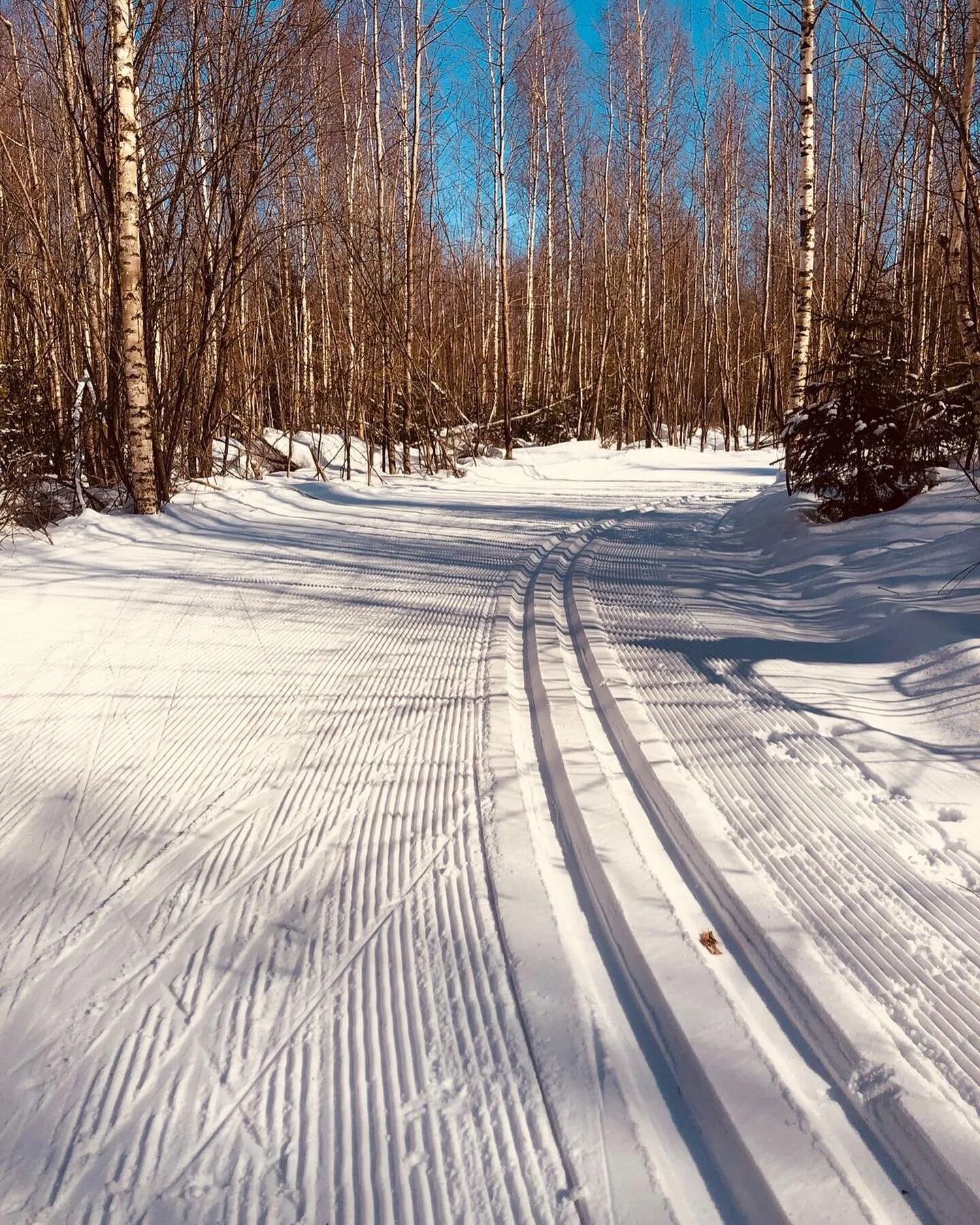Лыжня в битцевском лесу. Лыжная трасса заводоуковск. Лыжня где покататься. Лыжная трасса измайлово. Лыжня россии тюмень.