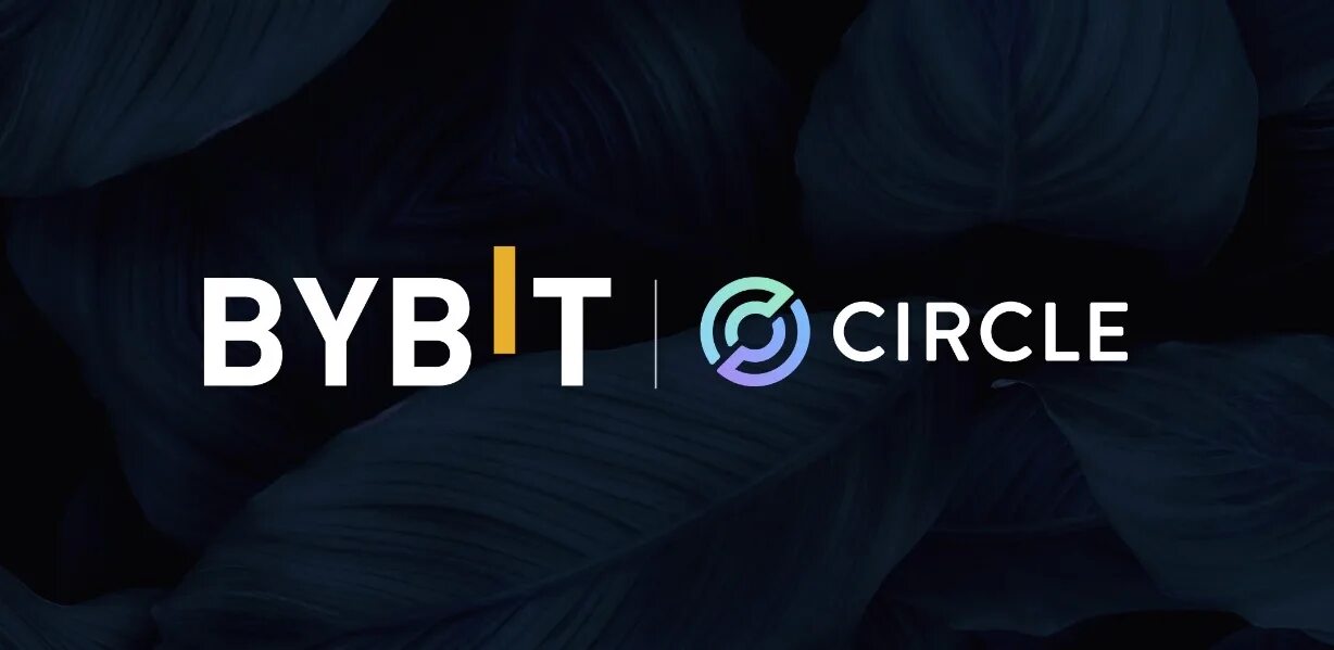 Bybit владелец