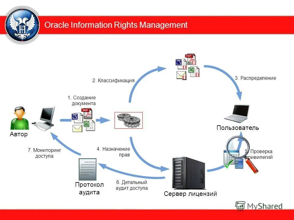 Ит аудитор. Аудит ит валюта. Аудит ит. Ит аудитор рисунок. Аудит.