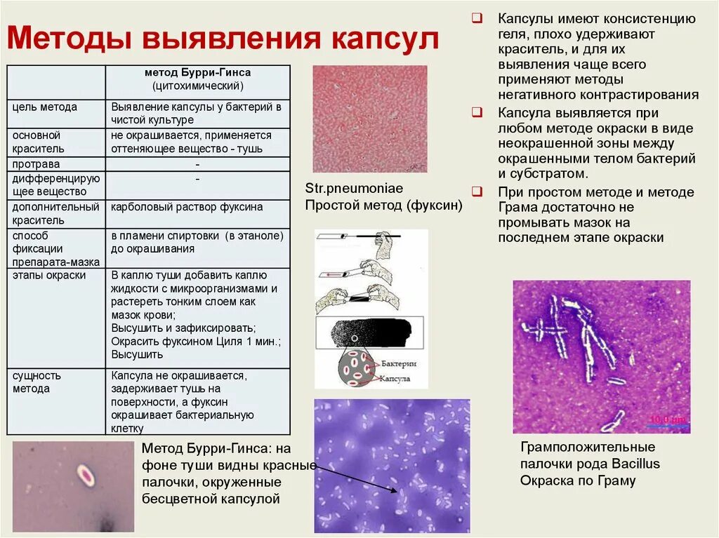 Вид обнаружить