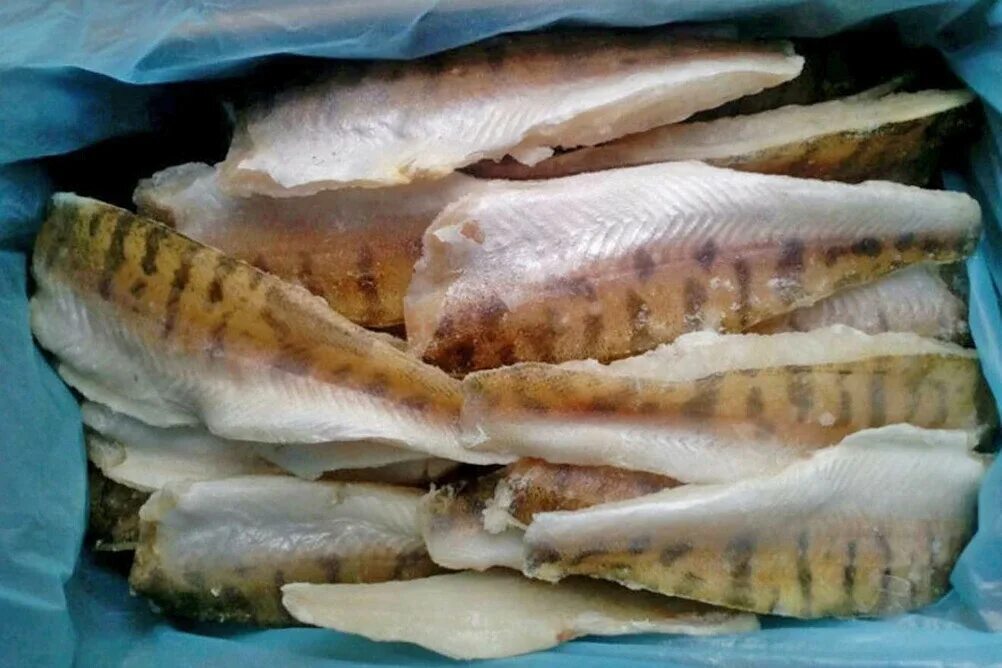 Судак какое мясо. Судак рыба филе. филе судака 400+. филе судака (замороженное). филе судака на коже.