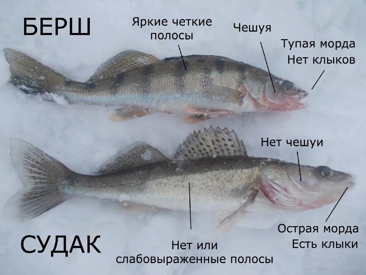 Судак Крым Фотосказка