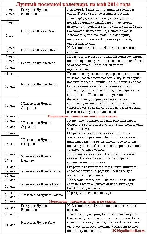 Укроп лунный календарь. Что садят сеять на убывающую луну. Посадка растений на убывающую луну. Когда сажать помидоры в открытый грунт по календарю. Благоприятные дни для высадки семян перцев.