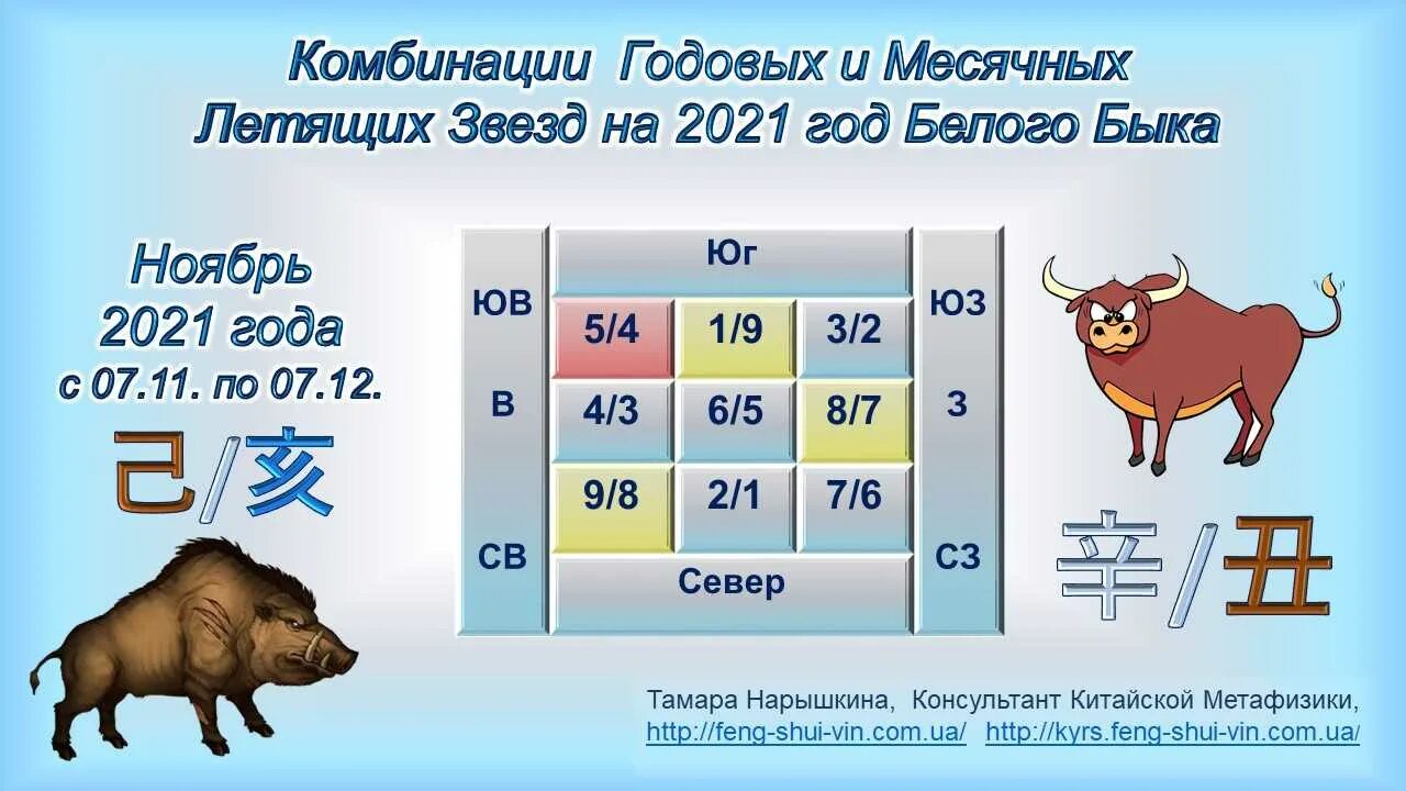 Следующий год 2021 какого. Летящие звезды 2021. Летящие звезды 2021 года. Годовые летящие звезды 2021. Летящие звёзды 2021 год по месяцам.