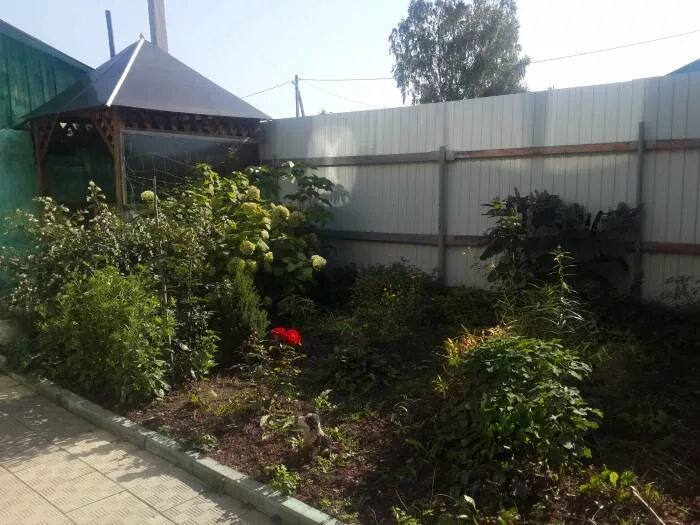 Квартира в мысках грэс. Авито мыски грэс. Кемеровская область мыски село безруково. Город мыски кемеровской области улица малиновая 7. Авито мыски грэс.