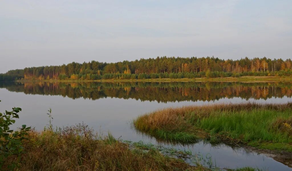 Национальный парк Орловское Полесье. Орел заповедник Орловское Полесье. Орловское Полесье озеро. Озеро центральное в Орловском Полесье. Национальный парк орловское