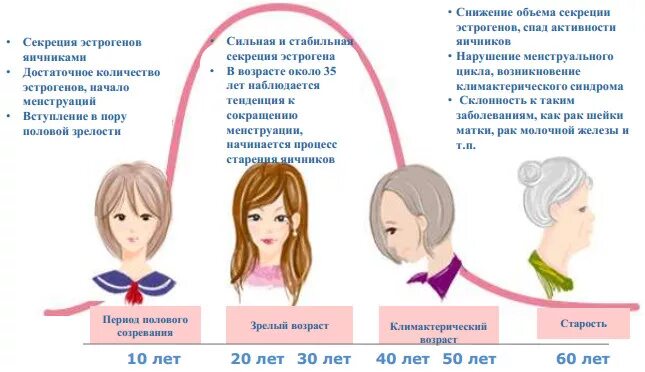 Со скольки лет появляется девушка