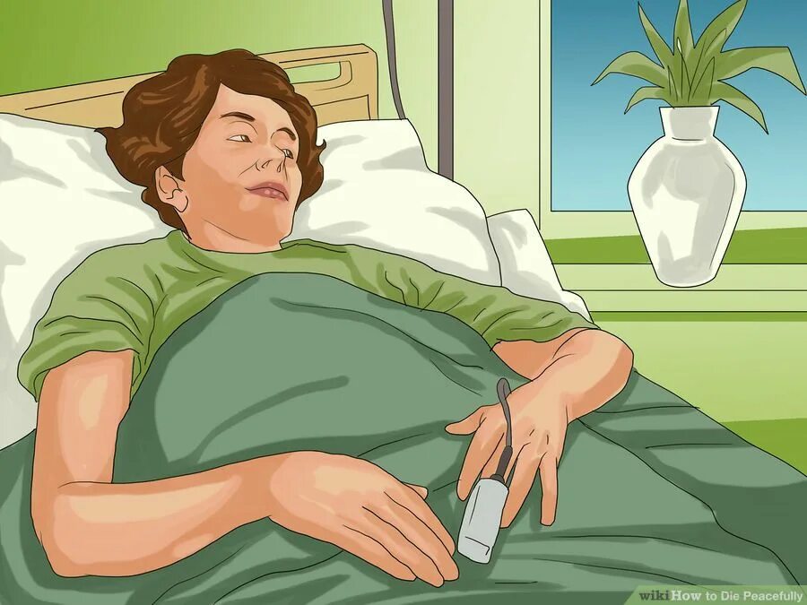 S there when you need. Мем when. when you meme. wikihow мем школа.