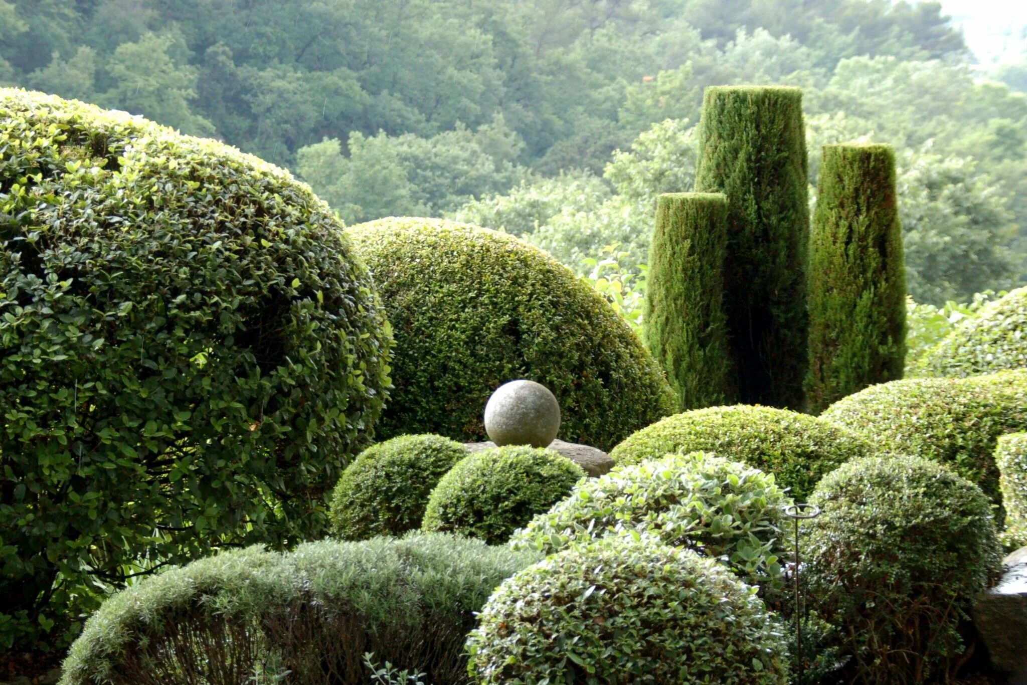 Jardin de la. Самшит буксус живая изгородь. Муниципальный ботанический сад лиона (тет дор). Jardin de la. Сад волчицы в провансе.