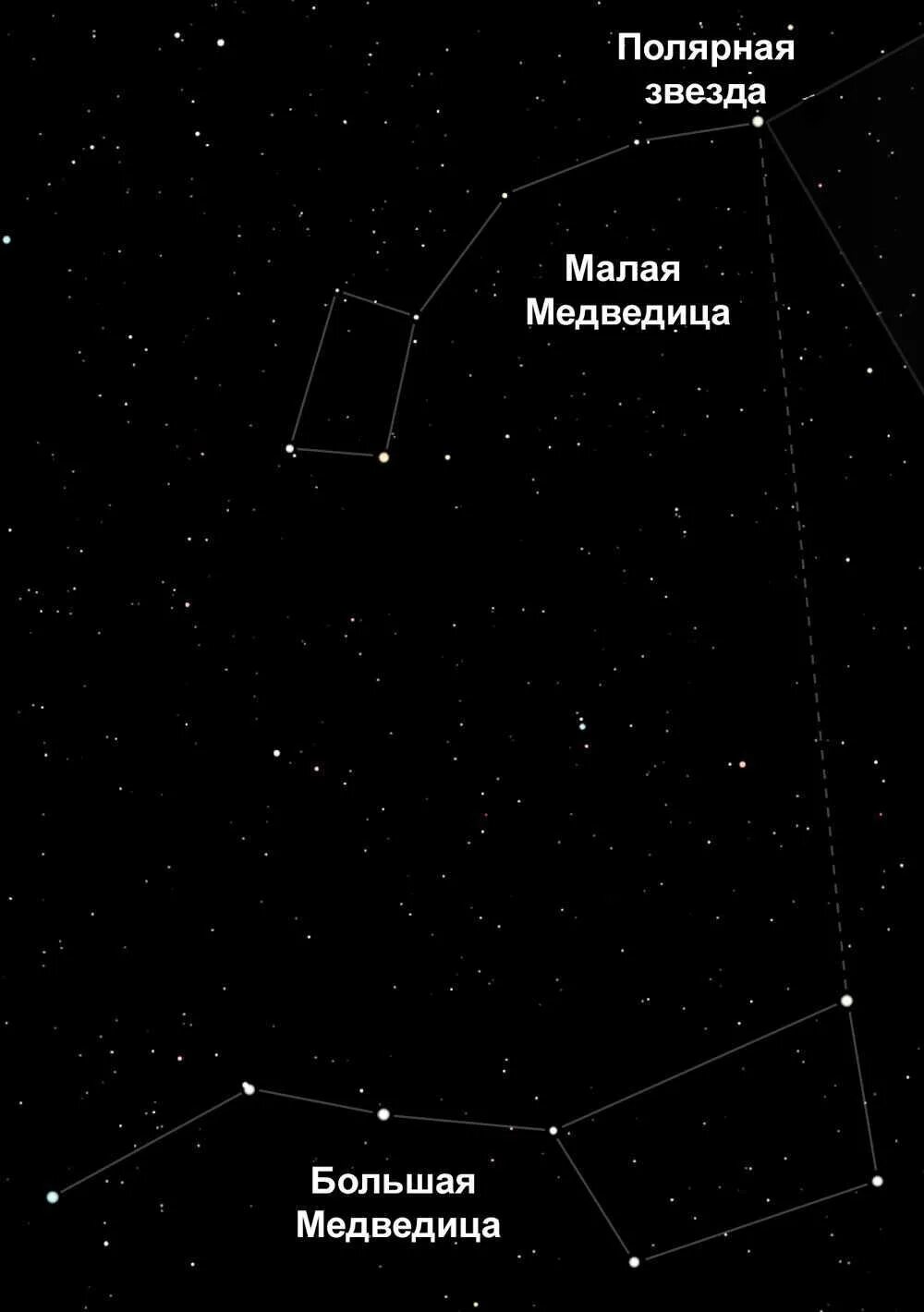 Созвездие малой медведицы какие звезды. Малая Медведица Созвездие звезды. Большая Медведица малая Медведица и Полярная звезда. Созвездие медведицы Полярная звезда. Созвездие большой и малой медведицы на небе.