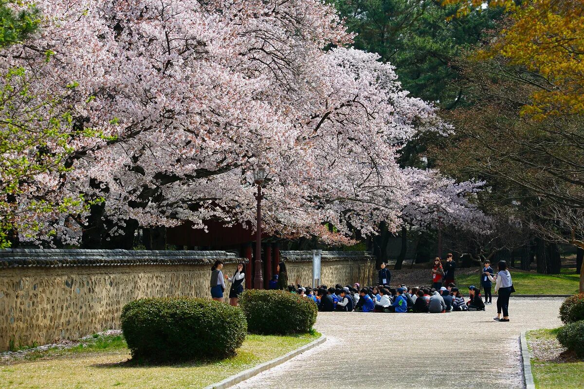 храм науки и техники в пхеньяне. северная корея туристы. путевка в кндр. туры в северную корею из спб. северная корея туризм.
