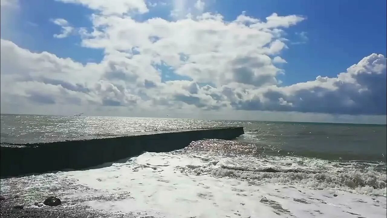 Дул влажный холодный ветер разнося. Ветер с моря дул. Ветер с моря дул картинки. Натали ветер с моря дул обложка. Картинка ветер с белого моря задувает.