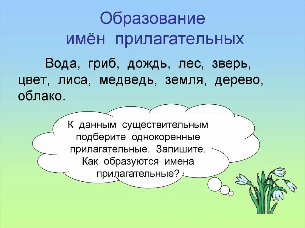 Растение подобрать прилагательное. Имя прилагательное. Вода прилагательные. Однокоренные имена прилагательные. Имена прилагательные в тексте.