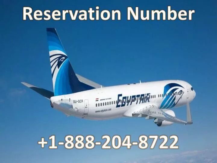 Египетские авиалинии самолеты. Egyptair 804. А321 метроджет шарм эль шейх. Авиарейсы в египет. Рейсы из египта в казань.