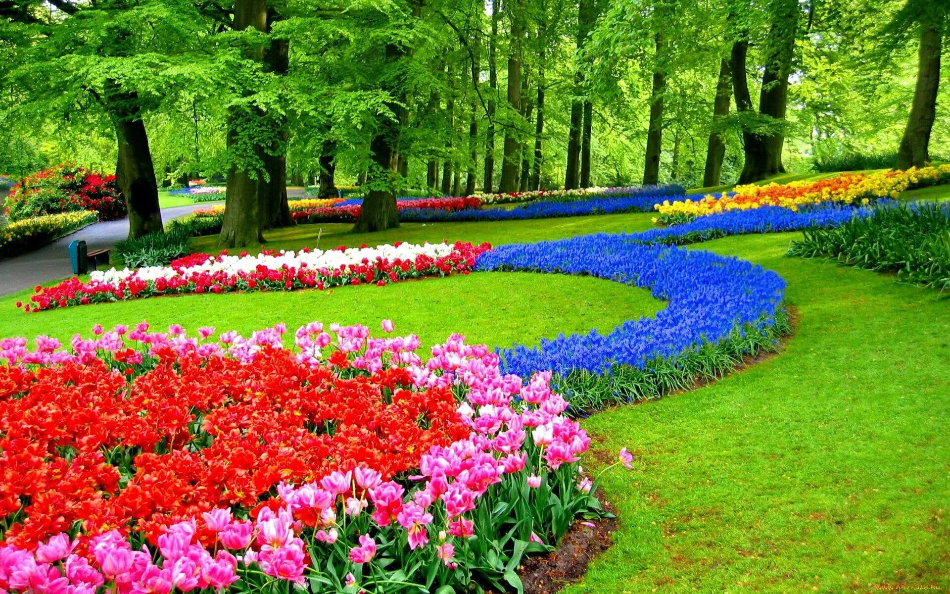 Парки где можно купить. Keukenhof-Park лебеди аллеи. Сад кёкенхоф Нидерланды. Кёкенхоф цветочный сад. Сады Бутчартов розарий.