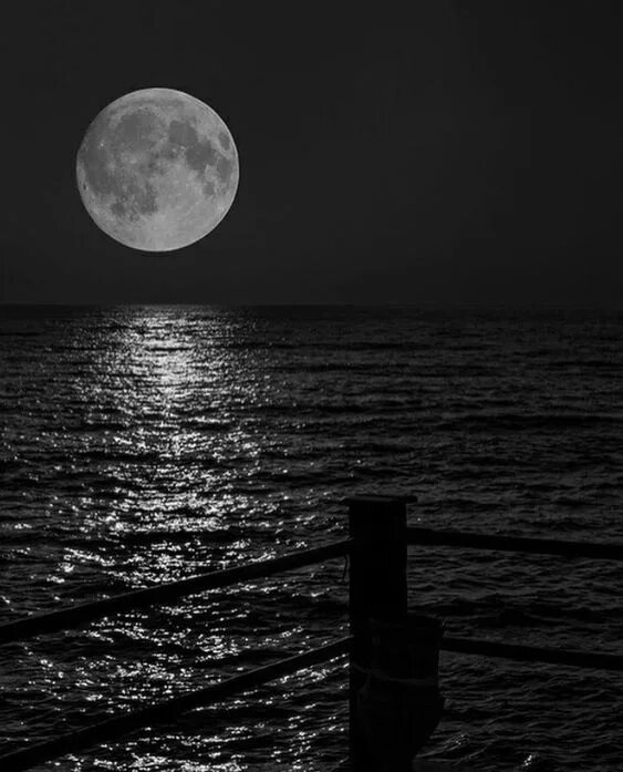Луна. Картина полнолуние. Слова луна и море. Seas of the moon группа. Луна и море.