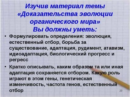 Понятия и определения эволюция