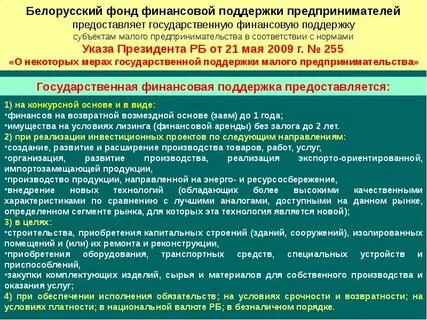 Цель государственной финансовой поддержки