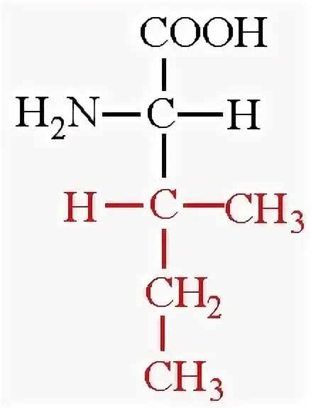 Лейцин структура. Структурная формула лейцина. Лейцин функции в организме. Лейцин и изолейцин формула. Лейцин.