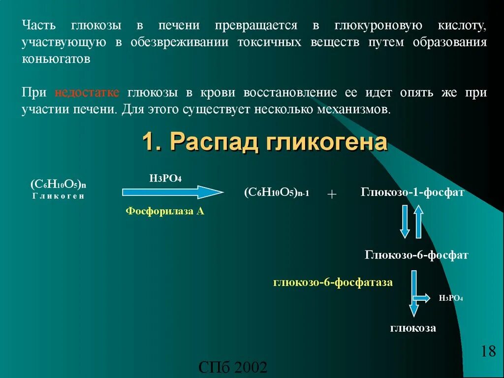 Глюкоза в печени превращается