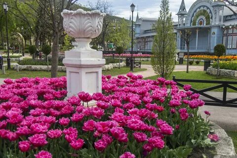 Ессентуки где лучше остановиться