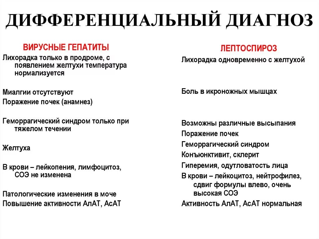 Диф диагностика вирусных гепатитов. Дифференциальный диагноз ГЛПС И лептоспироза. Дифф диагноз острых вирусных гепатитов. Гепатит а и гепатит е дифференциальная диагностика. Лептоспироз гепатит