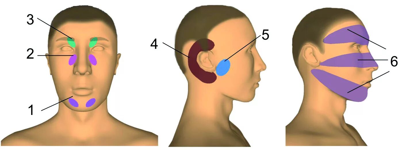 Курковые зоны тройничного нерва. Триггерные точки тройничного нерва. Невралгия тройничного нерва триггерные зоны. Точки выхода тройничного нерва на лице.