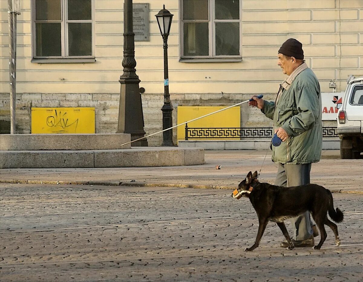 Собака поводырь для слепых. Слепые поводыри Лукин. Слепой человек с собакой.
