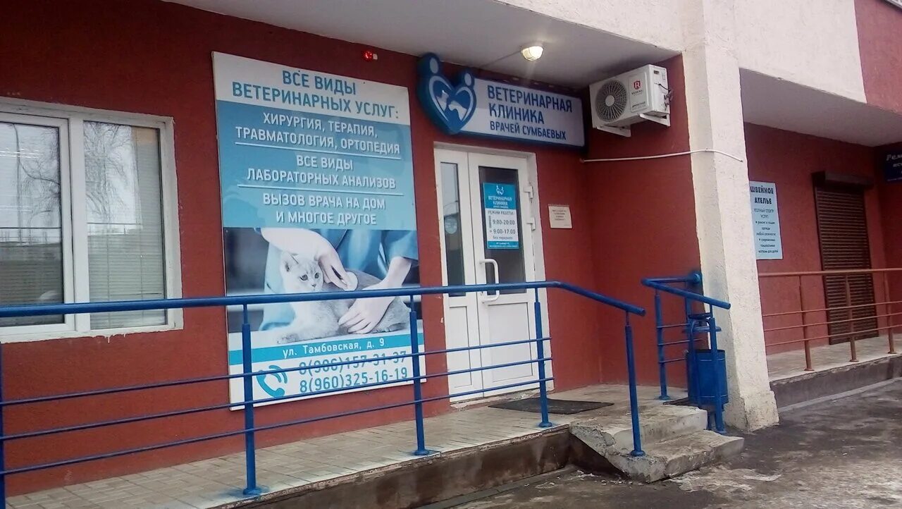 Ветклиники пенза сайты. Ветклиника заречный пензенская область. Ветклиники пенза сайты. Ветеринарные клиники в пензе арбеково. Сумбаевы ветклиника пенза.