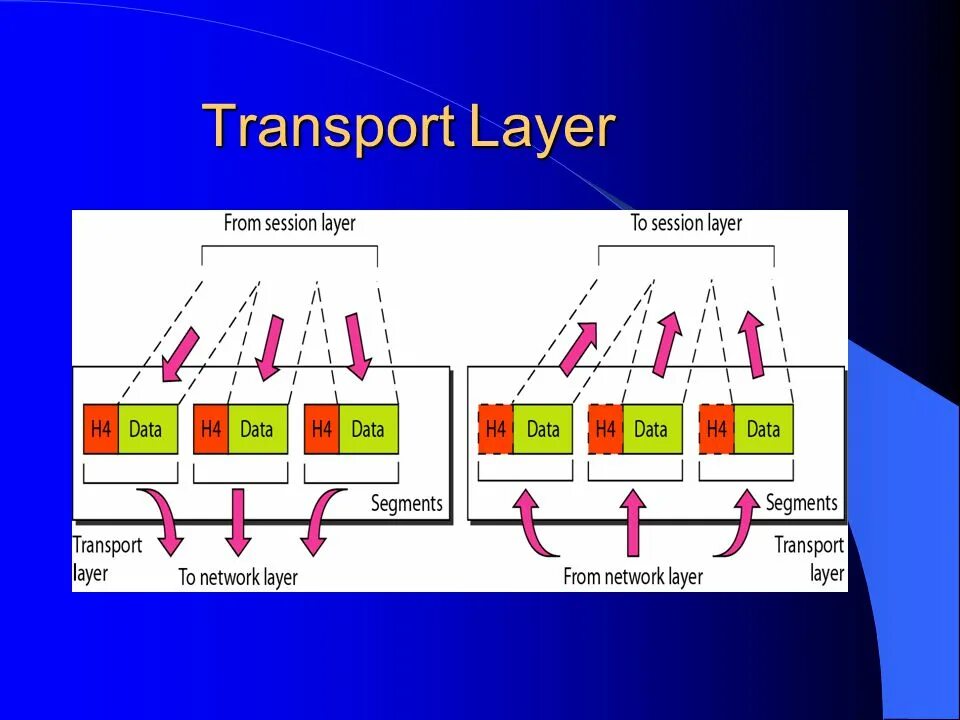 Net transport. Transport layer. functions of the transport layer. транспортный (transport layer) компьютерных сетей. transport network modeler.