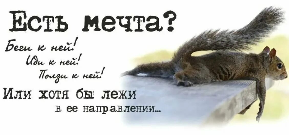 Идешь идти бежишь бежать ползешь ползти. Лежи в направлении мечты. Ляг и лежи в направлении цели. Лежать в направлении цели. Лежать в направлении мечты.