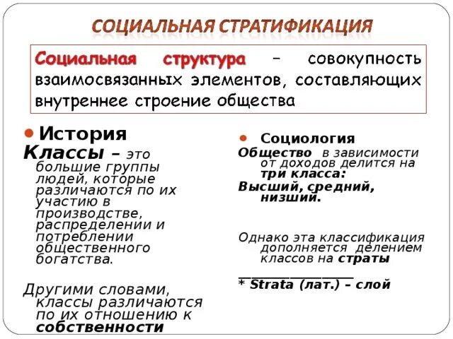 Социальная структура совокупность взаимосвязанных элементов