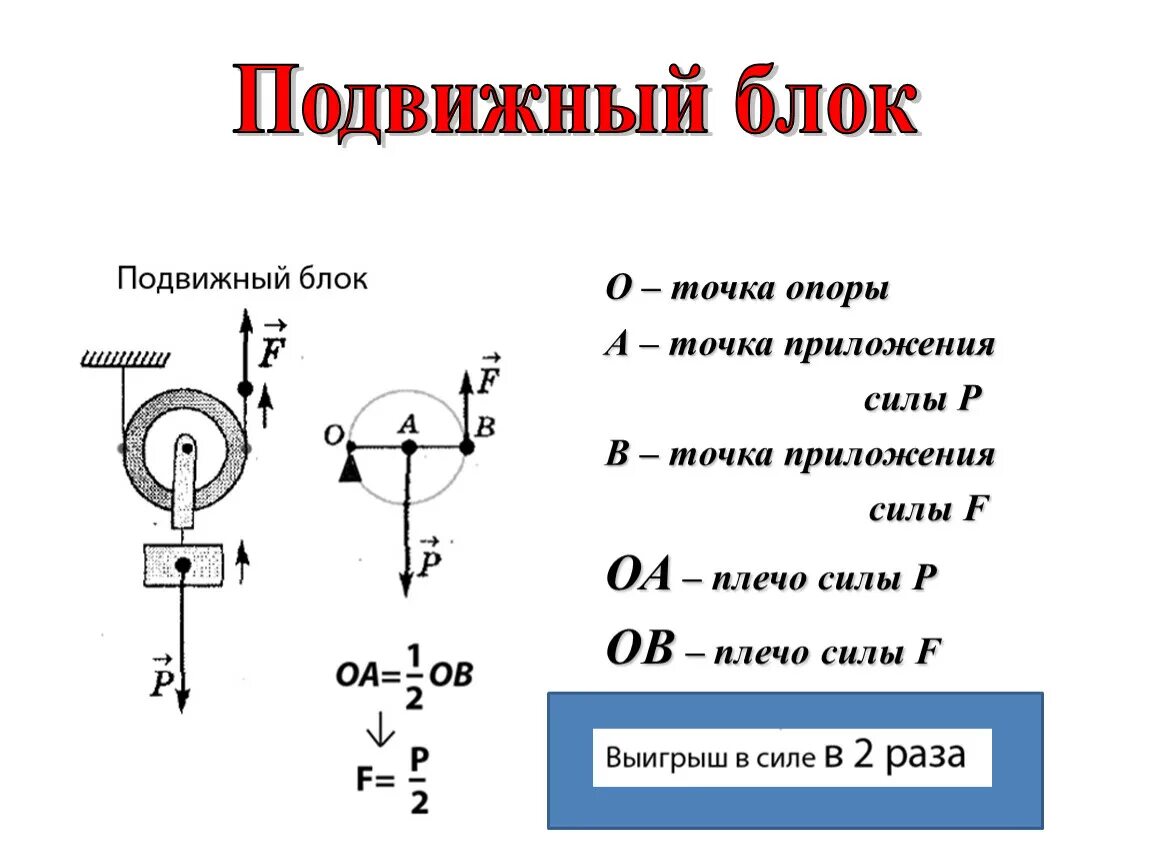 Неподвижный блок физика 7