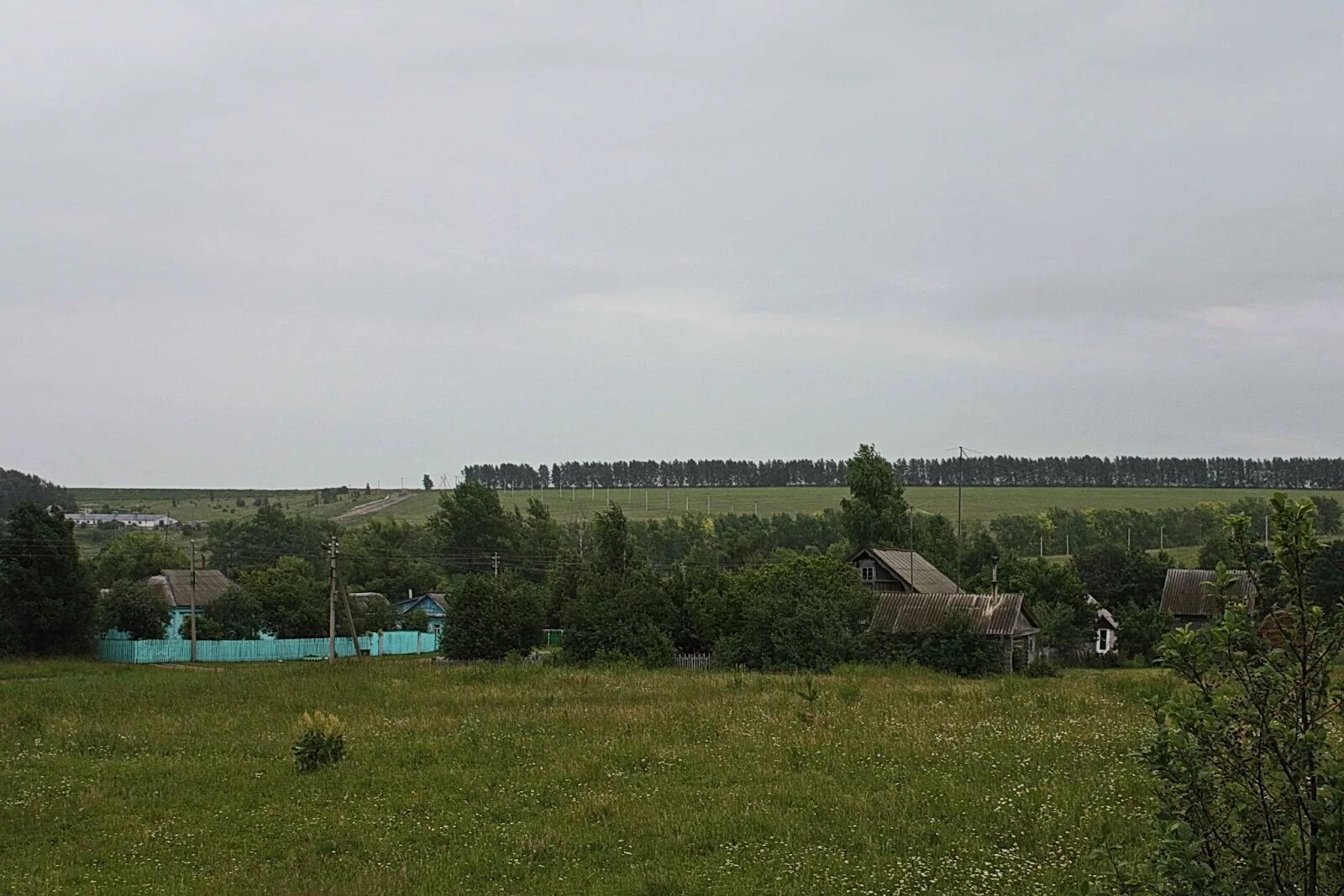 Большое маресево мордовия. Медаево мордовия. Погода в большом маресево чамзинский. Погода в большом маресево чамзинский. Большое маресево мордовия.