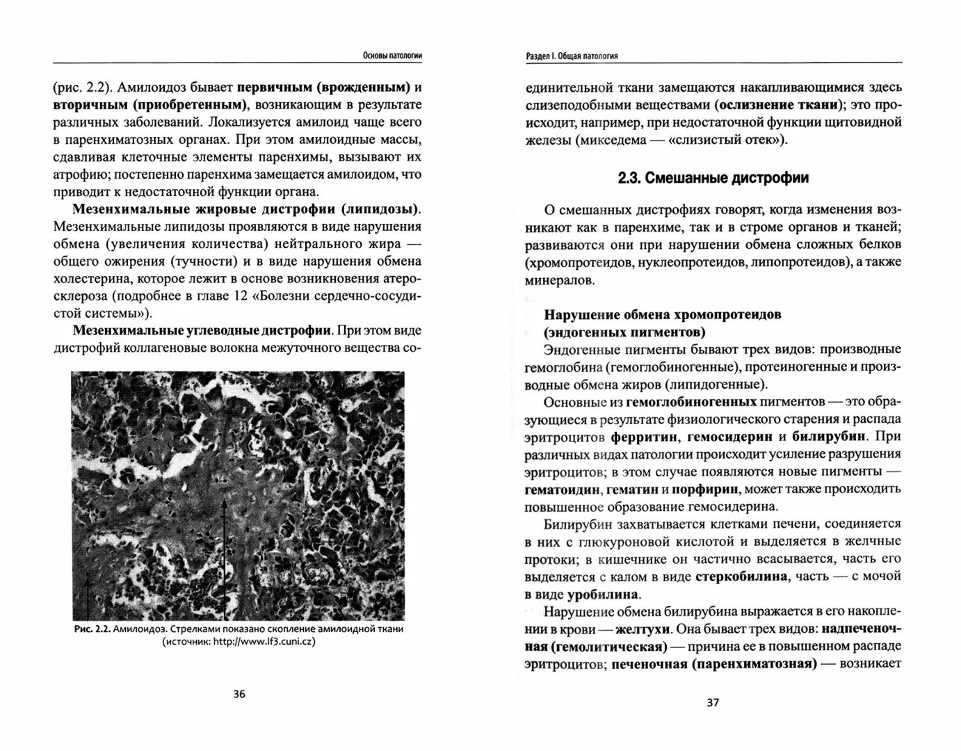 Общая патология тесты. Ремизов и. "основы патологии". Основы патологии учебник Ремизов Дорошенко. Основы патологии учебник. Основы общей патологии учебник.