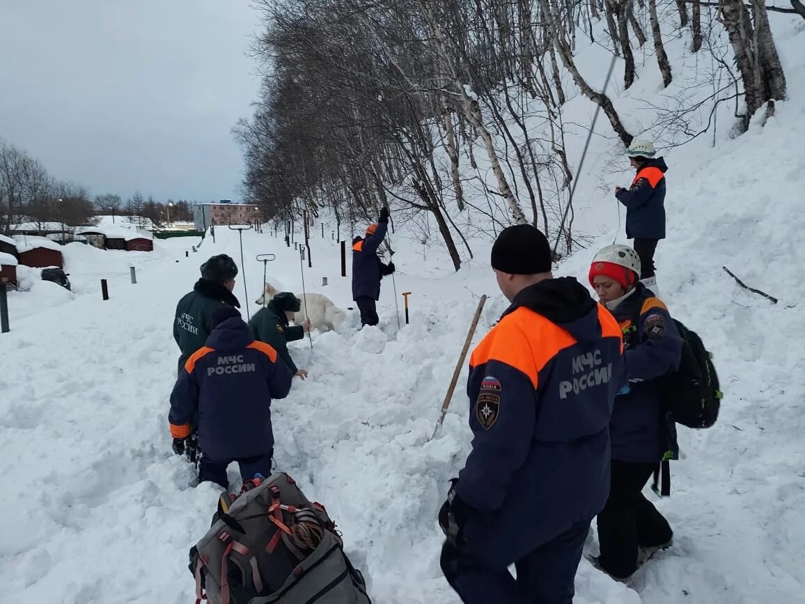 Новости камчатка март