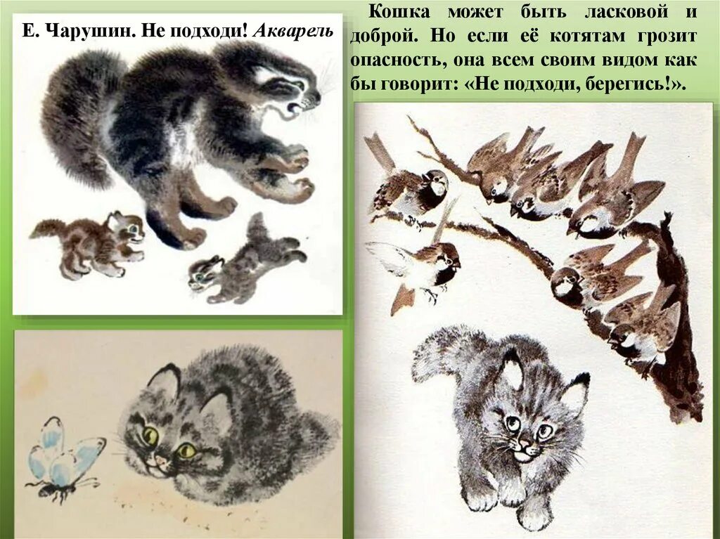 Изо 2 класс изображение характера животных презентация. Характер животного. выражение характера животных. изо изображение характера животных. выражение характера изображения животных.