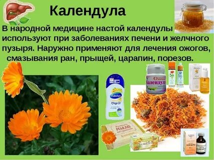 Календула трава отзывы