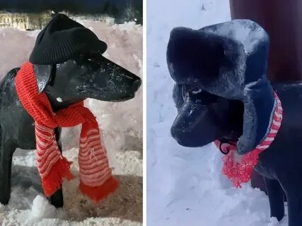 Собака грела ребенка