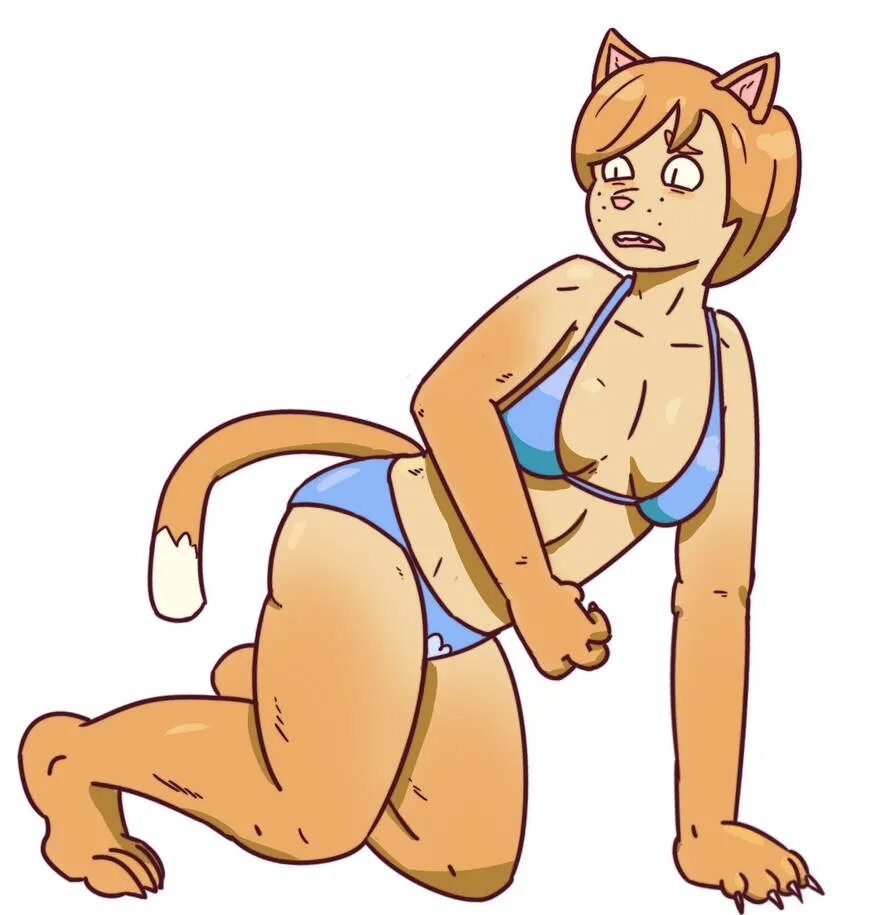 Cat tf tg. Tg cat. tg tf cat. cat fusion tf. кат тф аниматион.